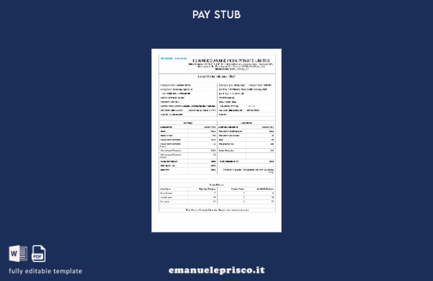 modello di busta paga del produttore HL Mando Anand India stile verificato